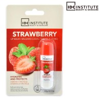 IDC INSTITUTE