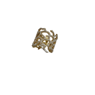 ANELLO