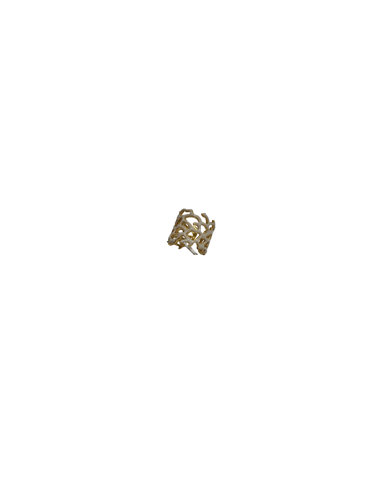 ANELLO ANELLO