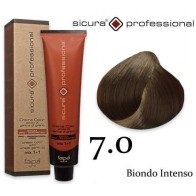 FAIPA SICURA 7.0
